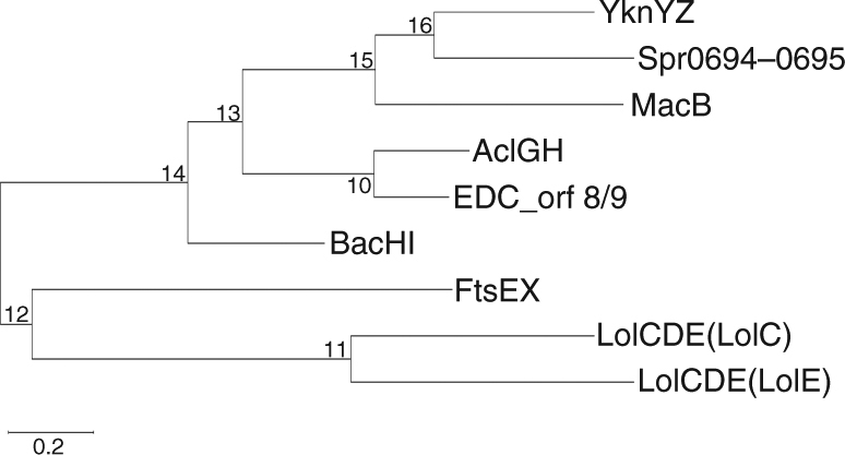 Fig. 7