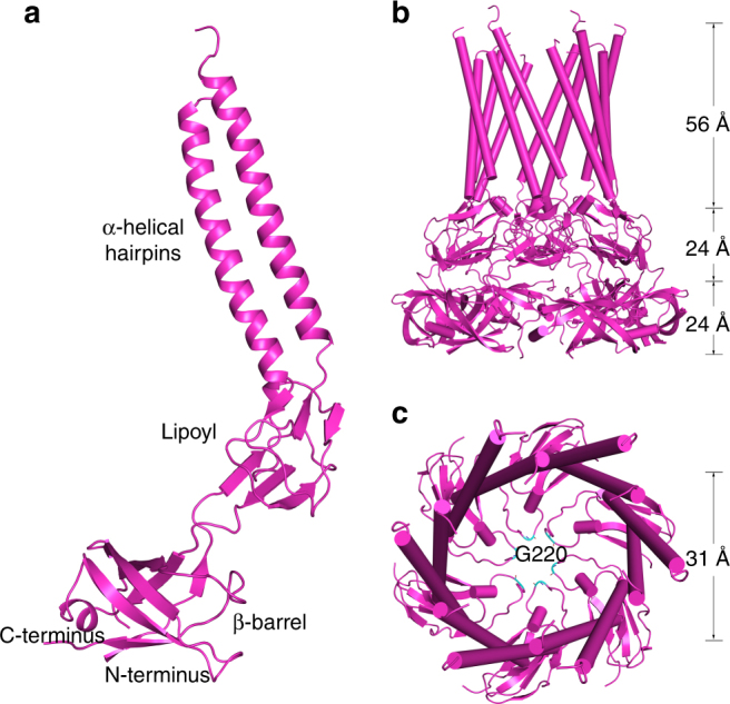 Fig. 2