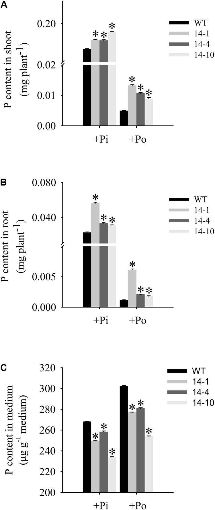 FIGURE 6