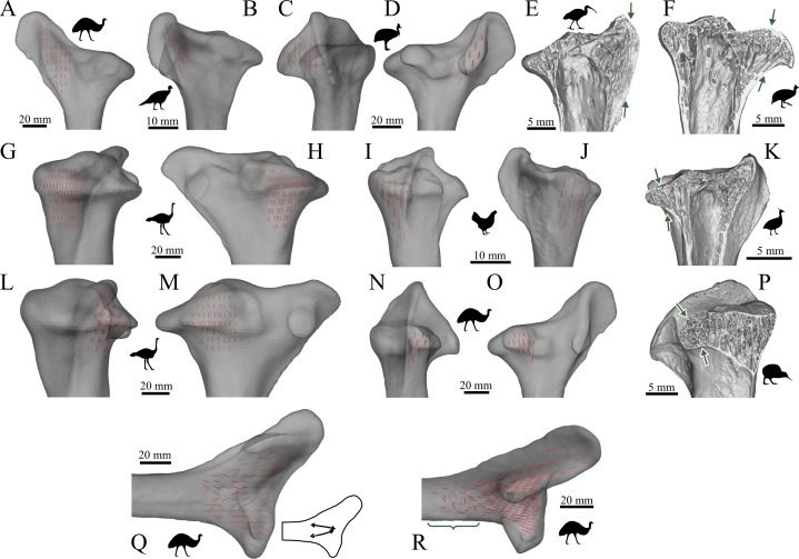 Figure 31