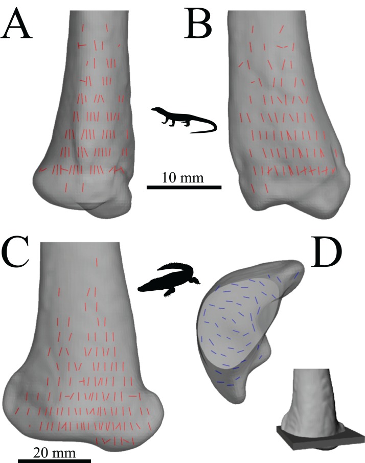 Figure 37