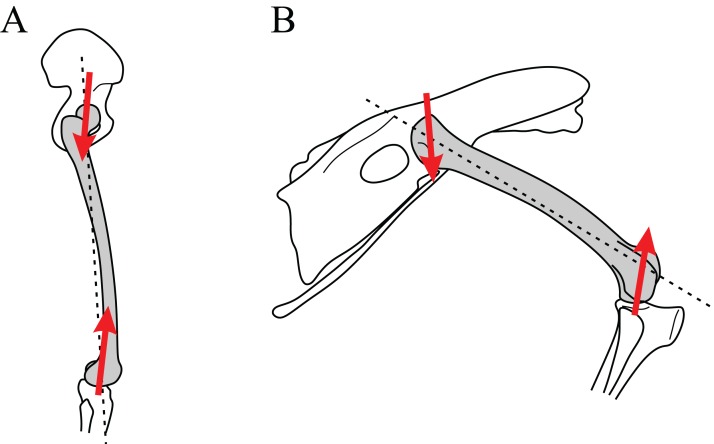 Figure 45