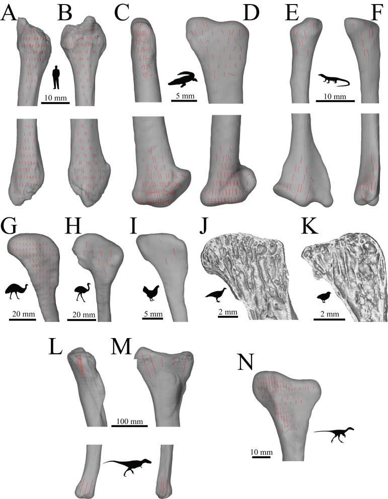 Figure 40