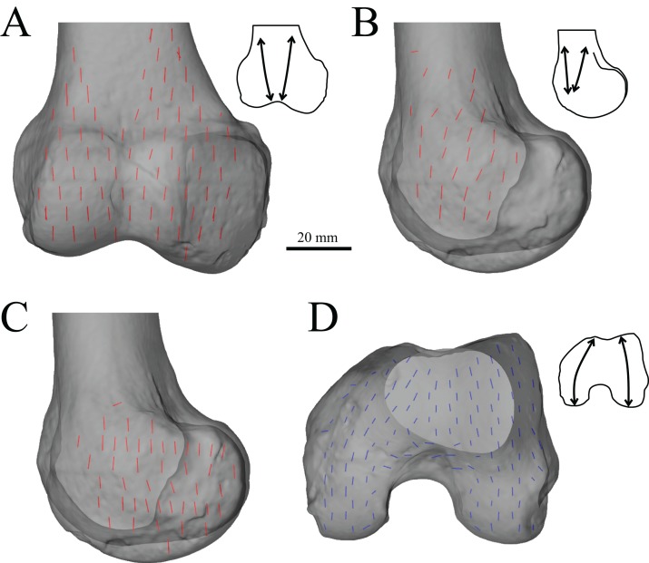 Figure 23