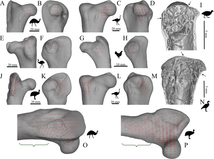 Figure 16