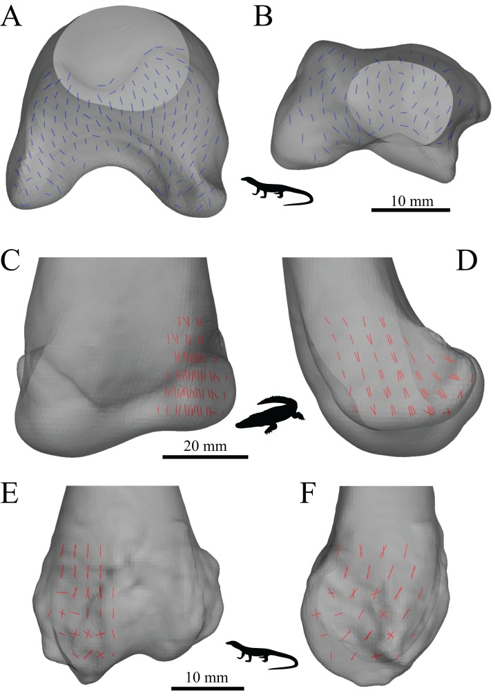 Figure 25