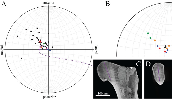 Figure 22