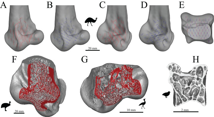 Figure 36