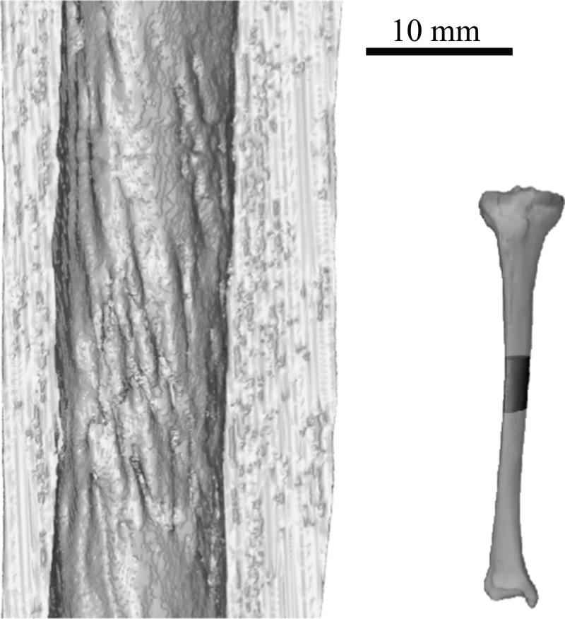 Figure 43