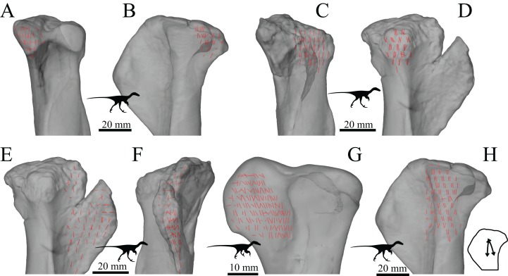 Figure 34