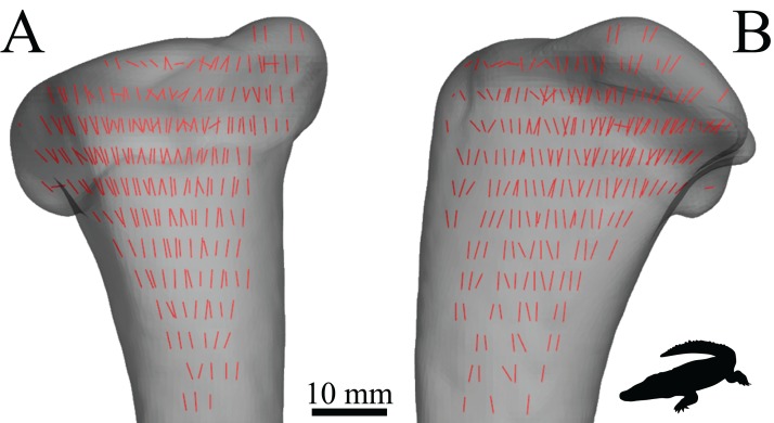 Figure 32