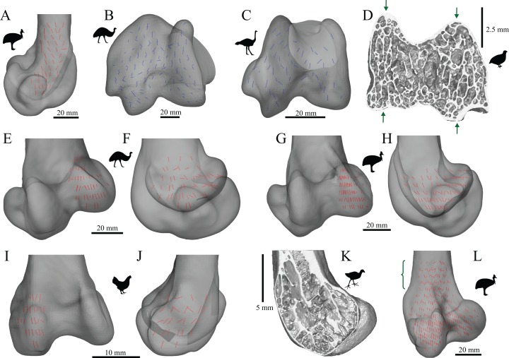 Figure 24