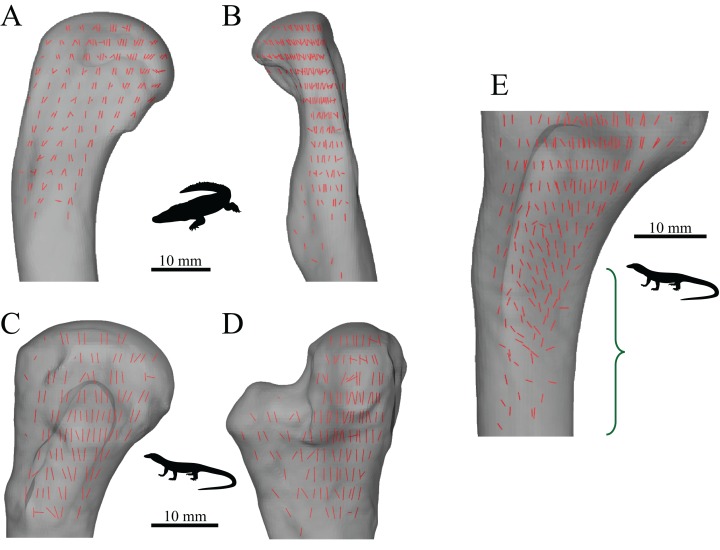 Figure 17