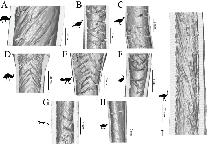 Figure 41