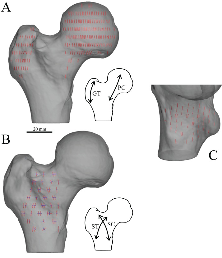 Figure 15