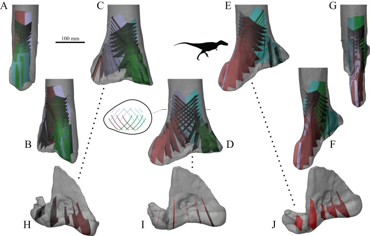 Figure 38