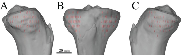 Figure 30