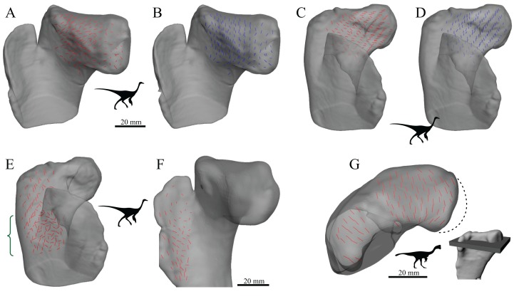 Figure 20