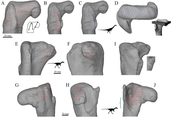 Figure 21