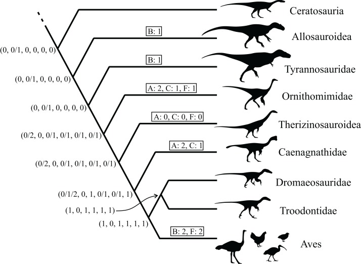 Figure 44