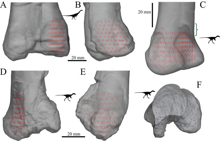 Figure 28