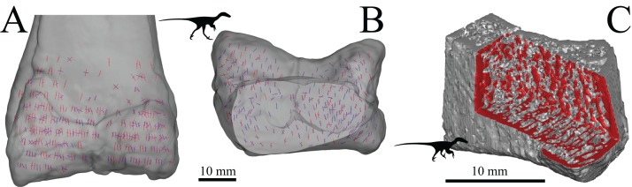 Figure 39