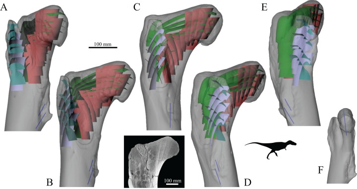 Figure 19