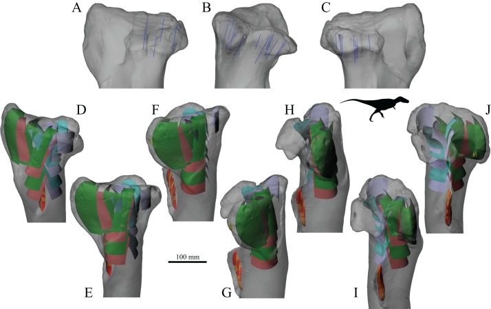 Figure 33