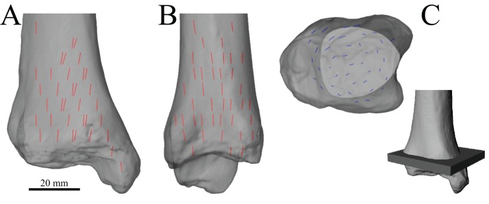 Figure 35