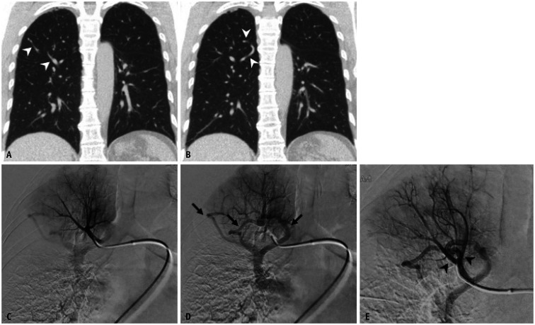 Fig. 8