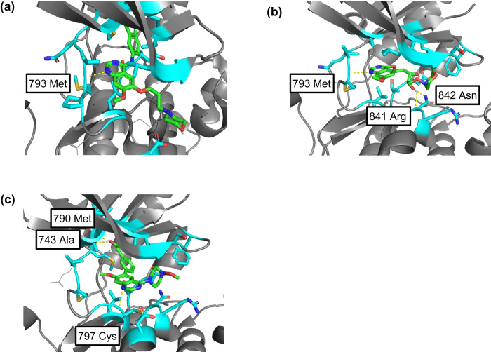 Fig. 6