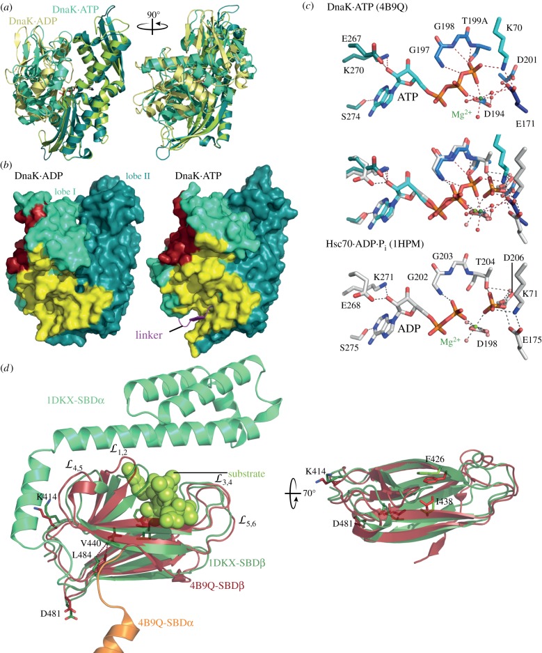 Figure 2.