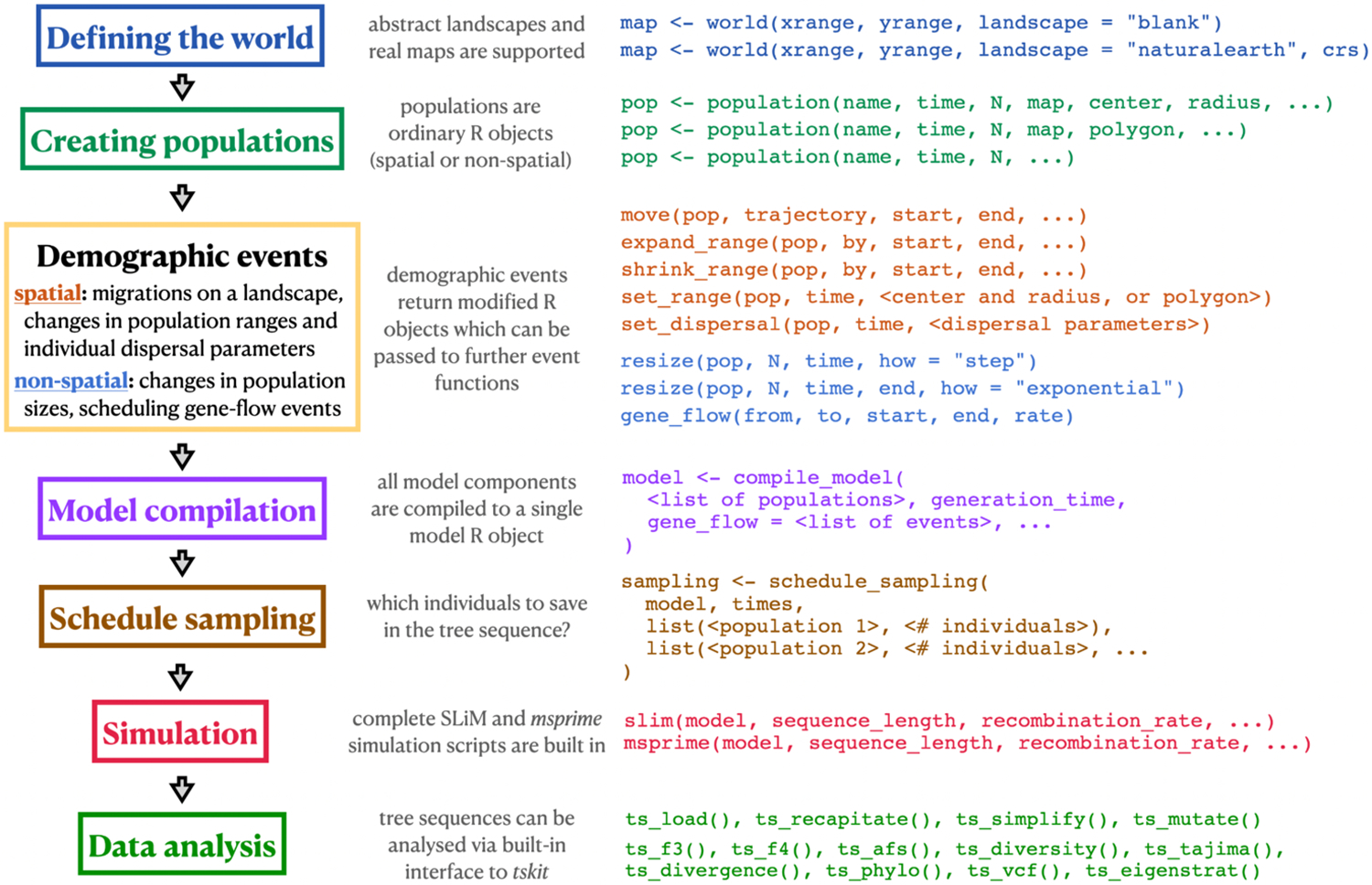 Figure 1 -