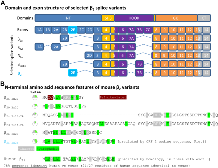 Figure 2