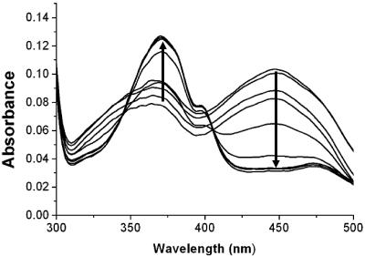 FIG. 2.