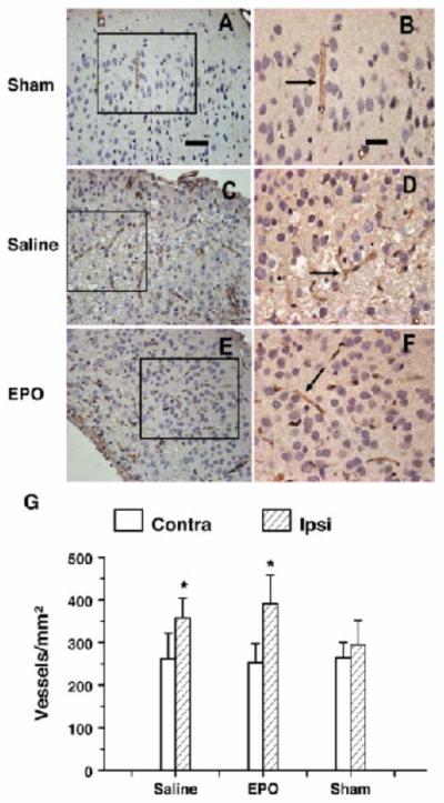 Fig. 12