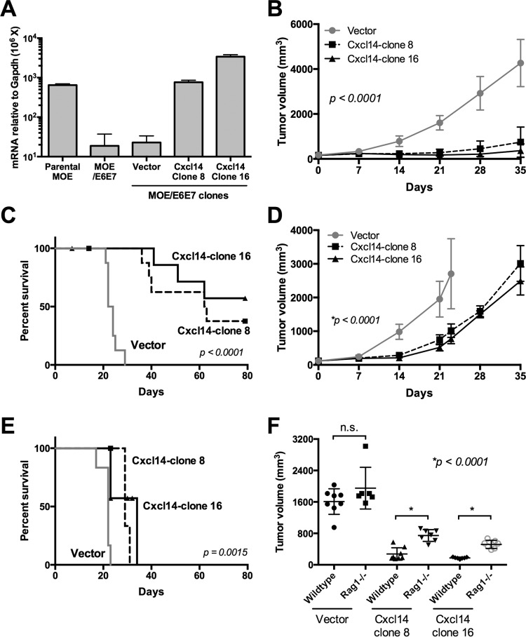 FIG 4 