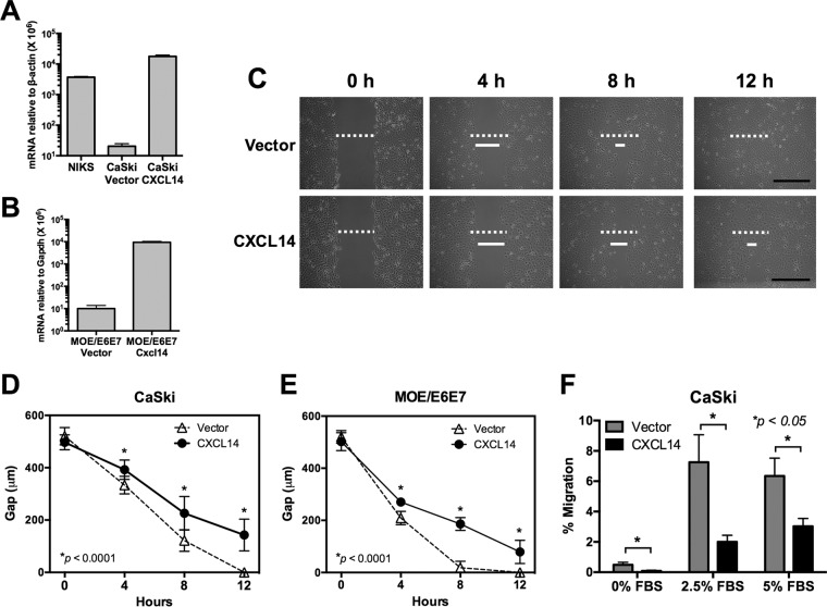 FIG 3 