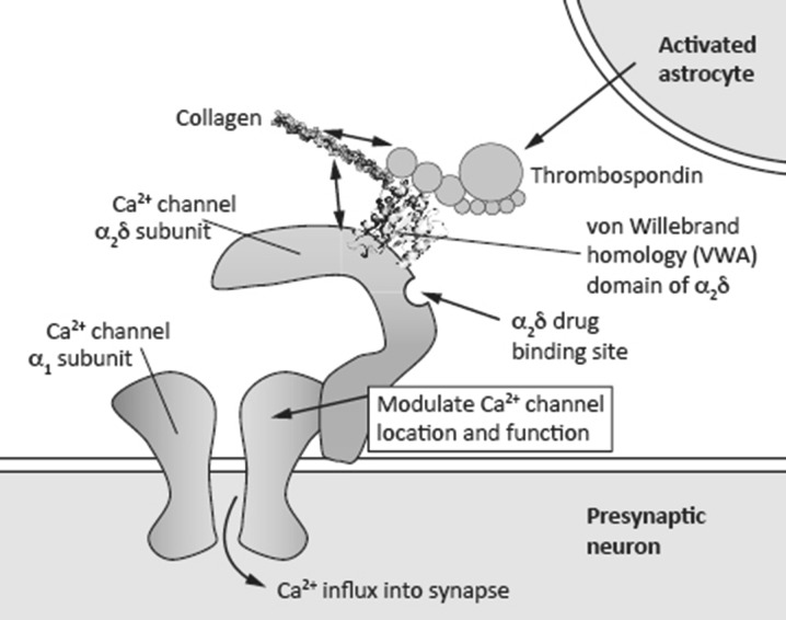 Fig. 2