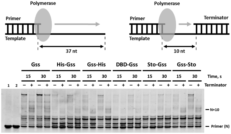 Figure 7.