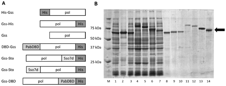 Figure 1.