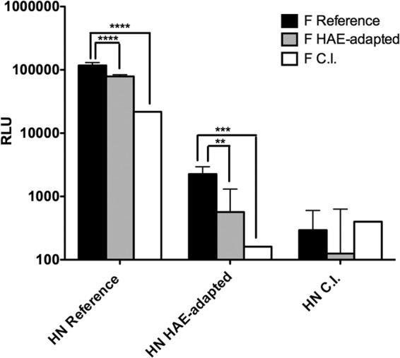 FIG 2