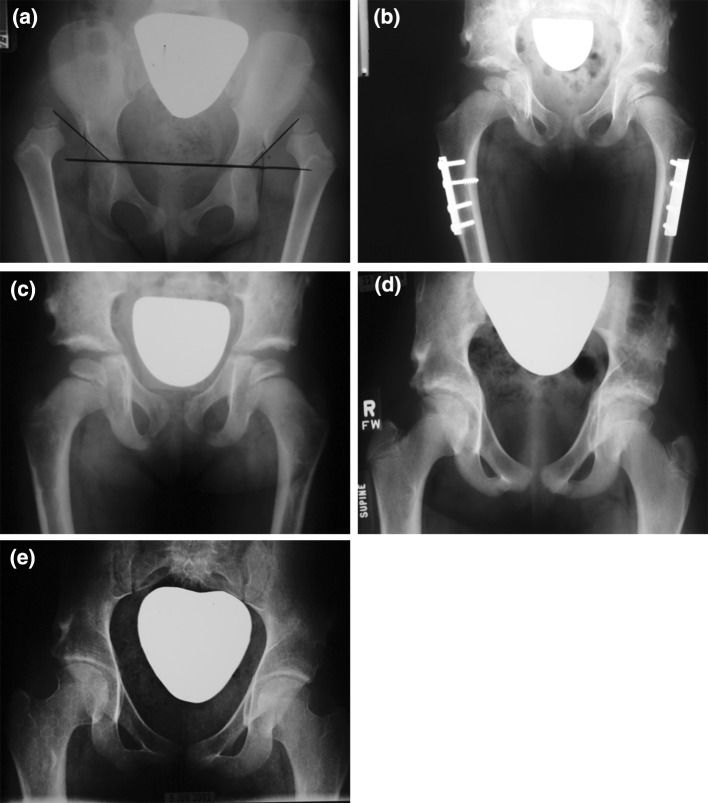 Fig. 2