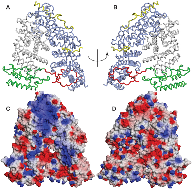 Figure 2.