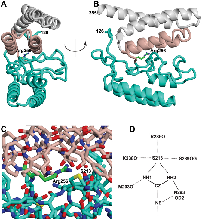 Figure 3.