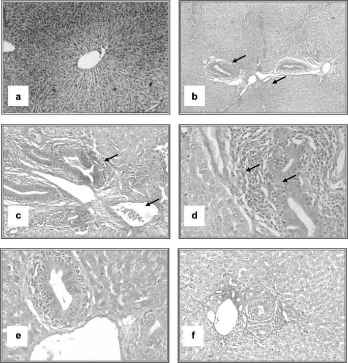 Fig. 5