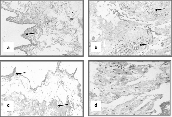 Fig. 6