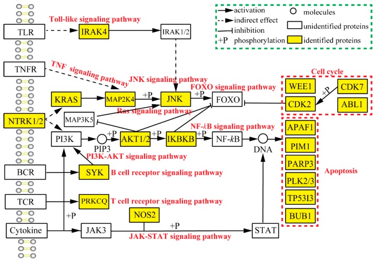 Figure 9