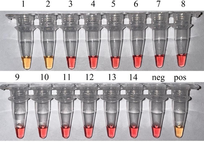 FIG 3