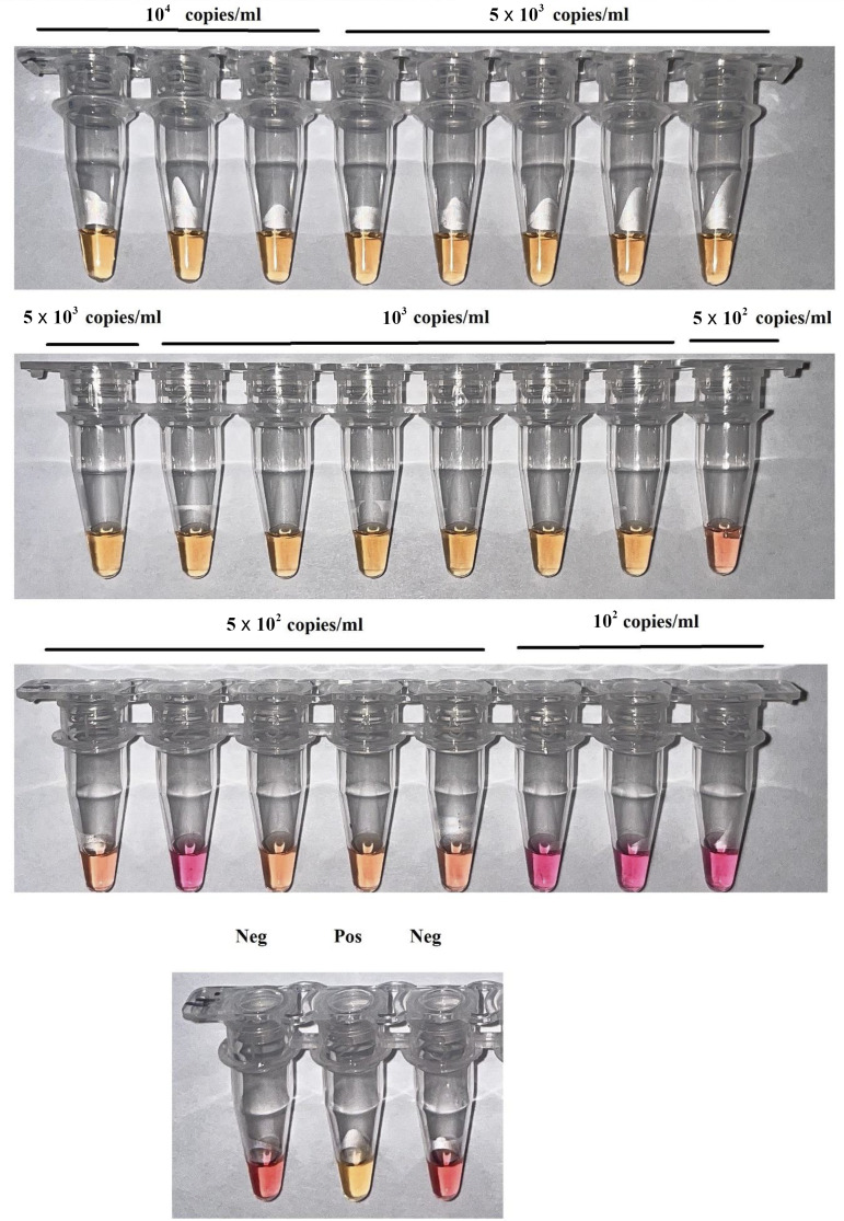 FIG 1